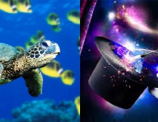 MAGIC FAMILY ALL INCLUSIVE - WEEKEND